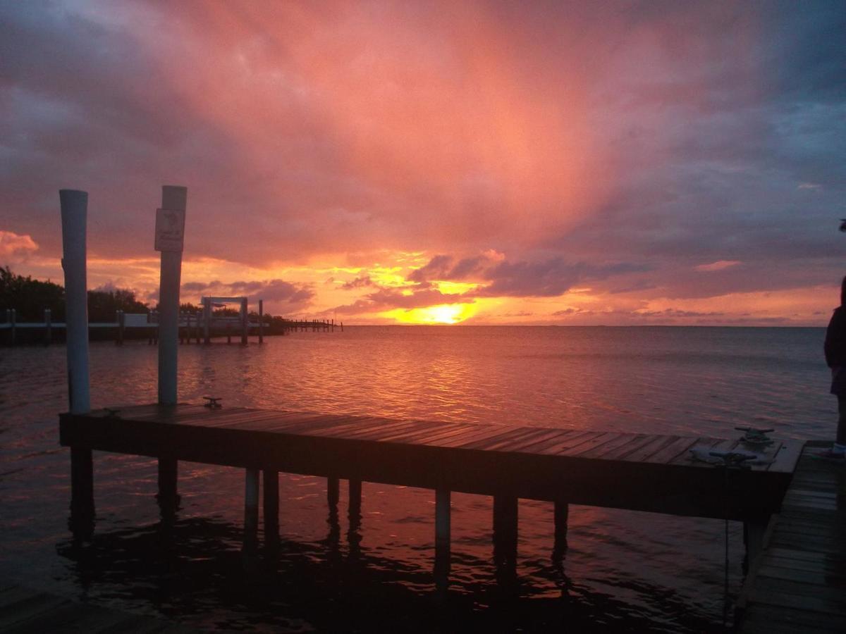 La Jolla Resort Islamorada Buitenkant foto